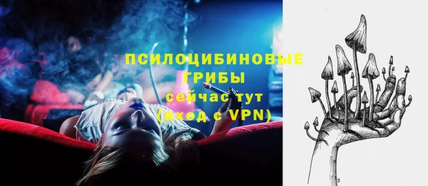 сатива Карталы