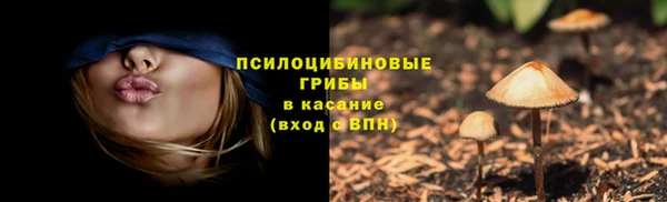 спайс Касимов